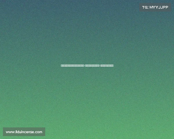 迈阿密热火队的崛起与挑战：从大卫-韦德时代到新星扎伊尔-威廉姆斯的崭新篇章